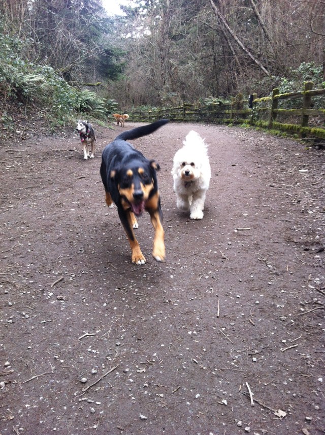 Ms Emmy, Abby & Jersey