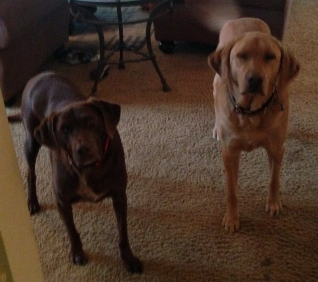 Mr Boston and Mr Riley